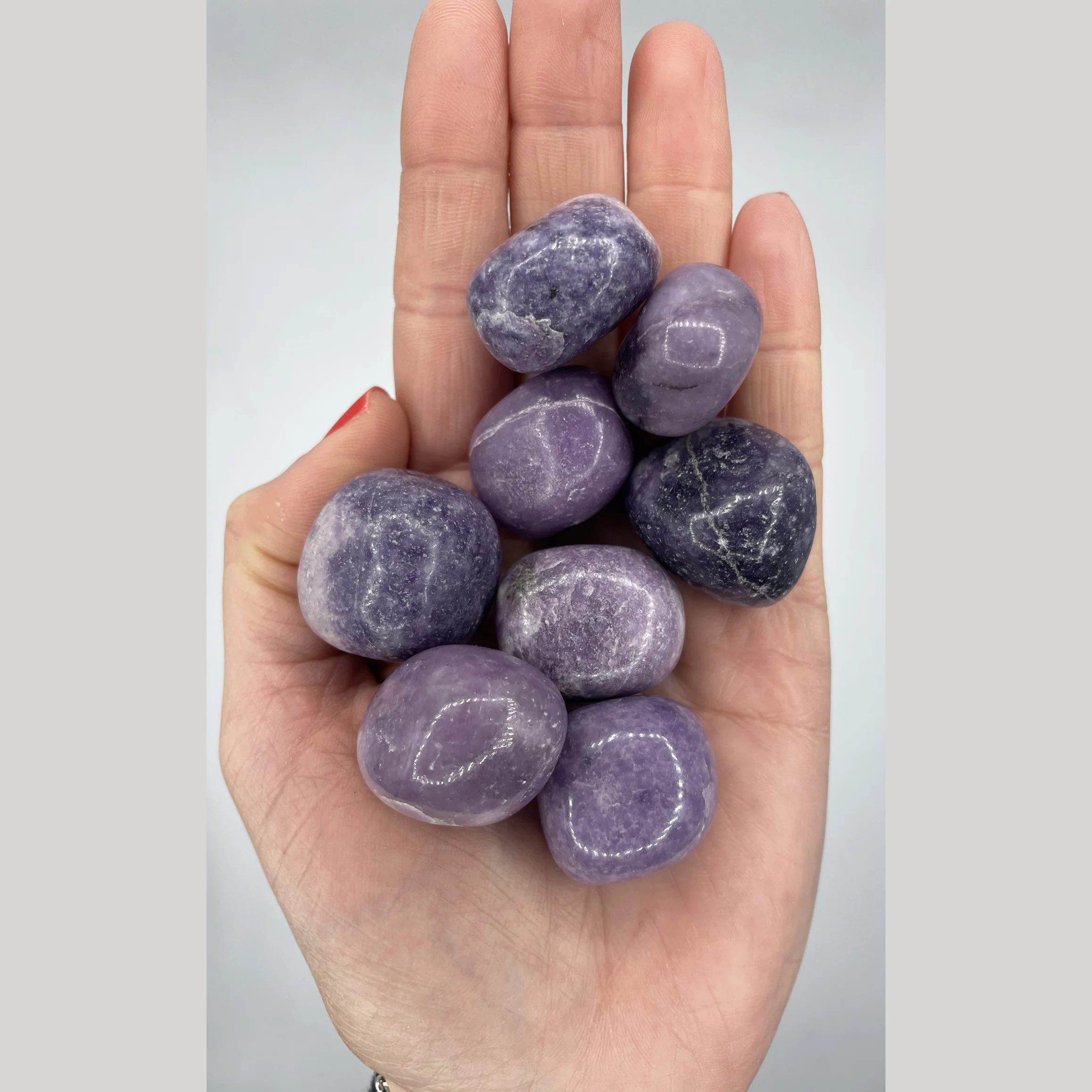 Miniatura 1